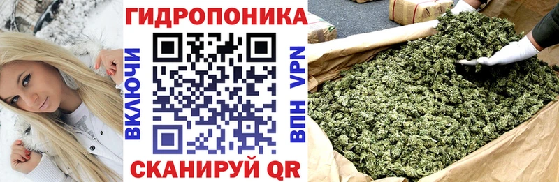 Шишки марихуана конопля  где найти   Енисейск 